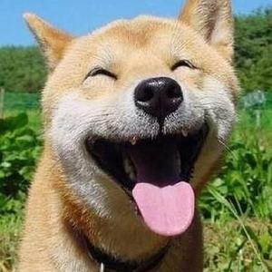 男男又爽❌又黄❌免费蘑菇
