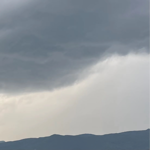 男男又爽❌又黄❌免费蘑菇
