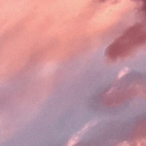 男男又爽❌又黄❌免费蘑菇
